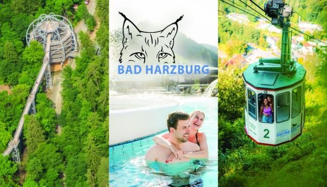 Collage aus den 3 Motiven Baumwipfelpfad, Seilbahn, Sole-Therme