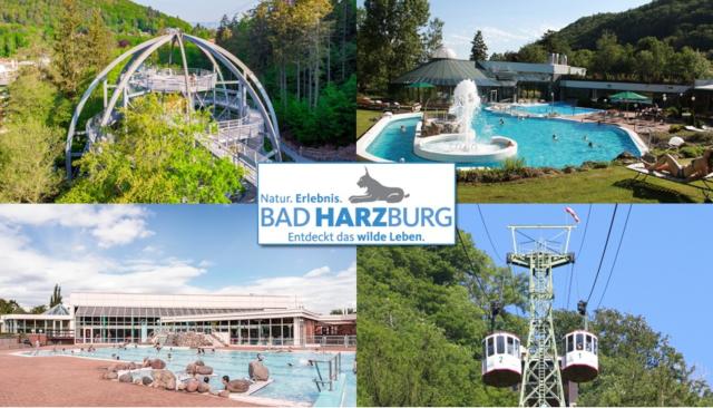Collage aus den 4 Motiven Baumwipfelpfad, Seilbahn, Sole-Therme und Silberbornbad